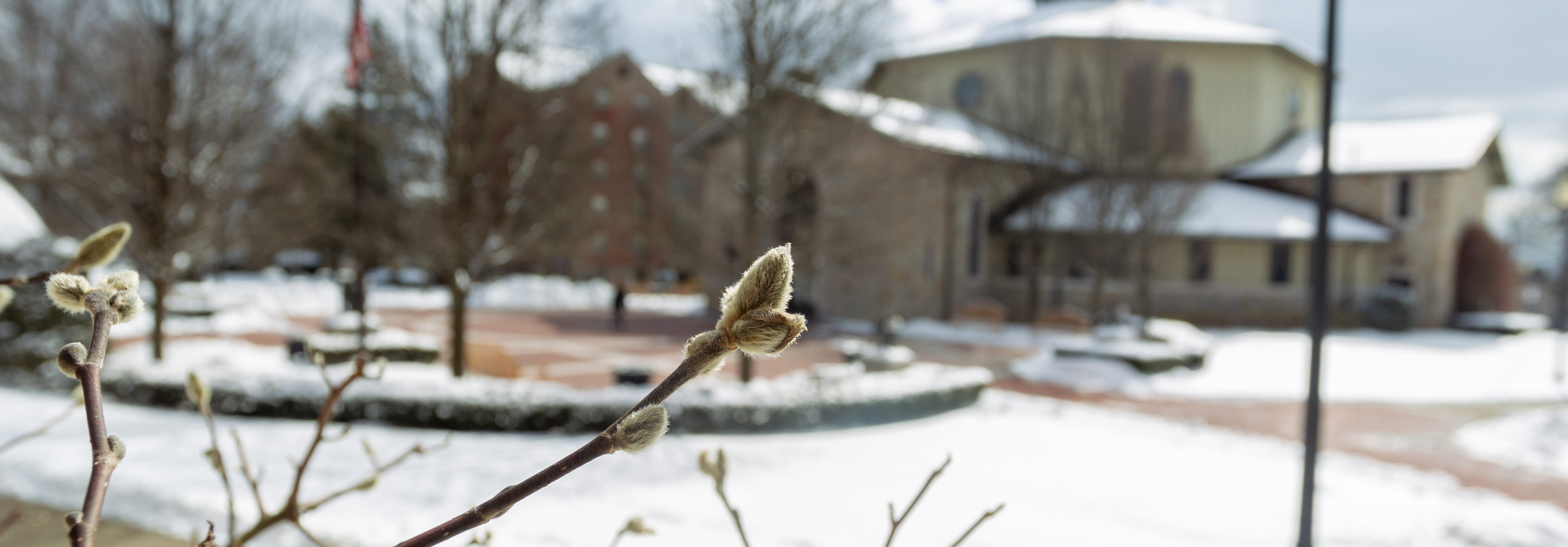 Providence College Office of the Registrar Ministry Snow Banner