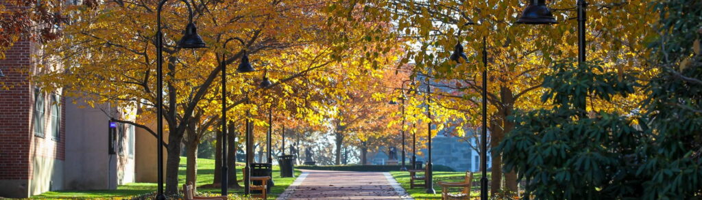 Fall Foliage Trees with Brick Building, Sidewalk, and Streetlights.