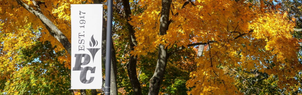 Fall Foliage Trees with 